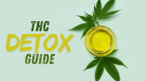 THC Detox Guide